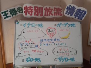 釣り人チャンス！放流福袋❣（週間12/26～1/2）