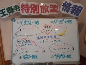 1/5~1/9 通常放流