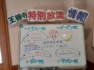 1/9~1/16 週間放流情報