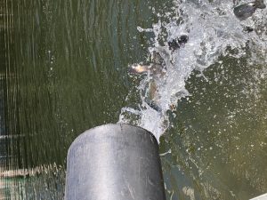 楽しみな3連休！