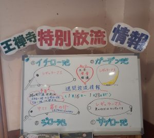 解禁になったよ～❣