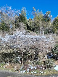 お知らせ＆一期一会？