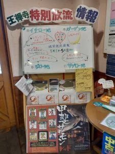 ラスト甲斐サーモン