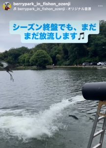 まだまだ、放流します！