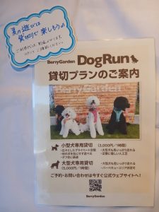 ドックラン貸切で楽しもう！
