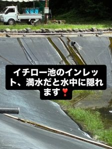 シークレットポイント公開！