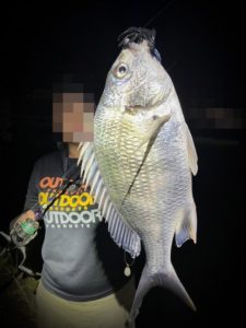 清水港　キビレ釣果情報♪