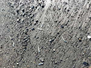 ☆静岡サーフ好調です！☆