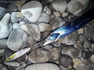 ☆最近のサーフ太刀魚☆