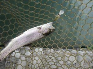 ☆春のアルクスポンド焼津釣行☆