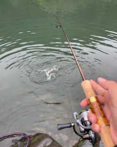 これからの季節はこの釣りが楽しい！