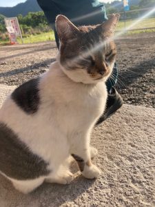 【これからの管釣りなら】中津川FF釣行！！