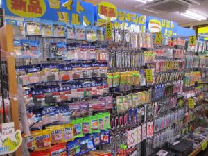【9月~11月】秋シーズンのおすすめ釣り物②
