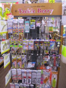 【9月~11月】秋シーズンのおすすめ釣り物③