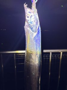 【釣果情報】7月最新釣果情報！！