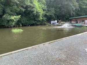 宮城アングラーズウィレッジ釣行