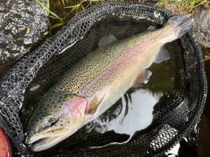 ヒメを求めて【湯ノ湖】