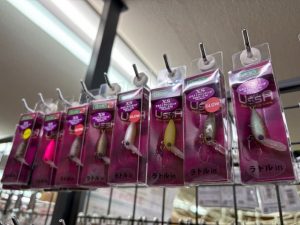 9/10入荷情報【伊勢崎みやこ町】