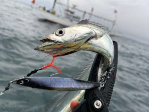 うたかたの夢。【弘漁丸】