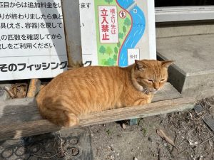 久々のすそのさん。【すそのフィッシングパーク】