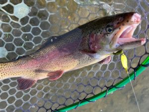 再び！【太田フィッシングクラブ】