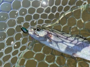 ちょっくら釣行【太田フィッシングクラブ】