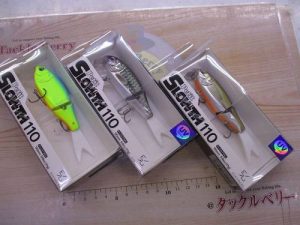 プチスロース入荷