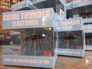 【ﾊﾞｽﾙｱｰ入荷】可能性は無限大？