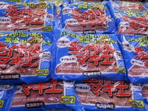 生イキくんマキエ入荷