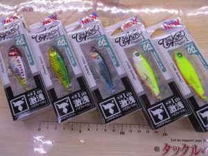 ツクモ 66＆ジナリ 65HW入荷