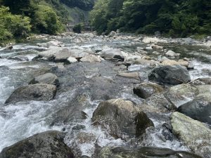 釣果情報