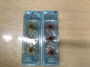 伊豫ノ松山店入荷情報