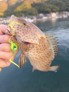 南予釣行行って来ました