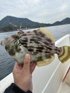 松山店釣果情報