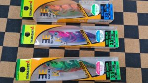 春イカシーズン到来！