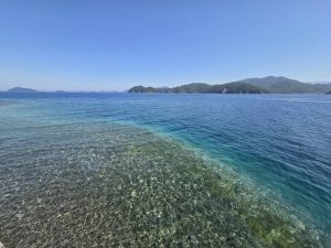 釣果報告！