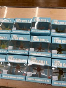 コイケフッシュギル入荷！
