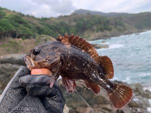 ロックの季節到来