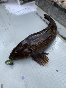 ボートロックへ