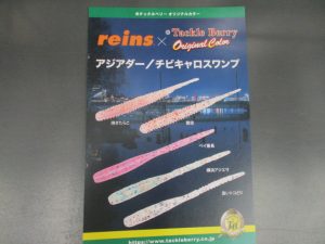 TBオリカラレインズワーム