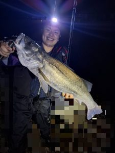 シーバス釣り