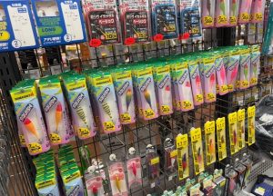スクイッシュ入荷しました！！