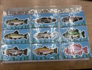 ビーグラウンド/お魚ステッカー・キーホルダー入荷しました！