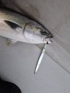 ブリジギングⅢ