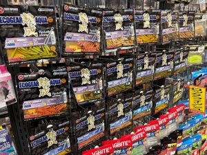 熟成アクア　シラス入荷！＆本日から買取アップキャンペーン！