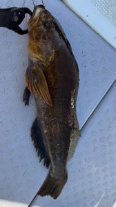 ﾎﾞｰﾄﾛｯｸいってきたえ