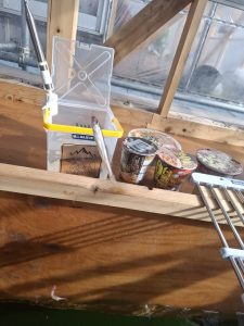 ワカサギいってきました②