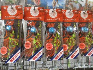 アンモナイトコンプリート