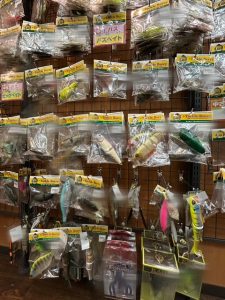 今日も今日とて横取り釣果