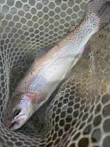 月舘君速報～～～！